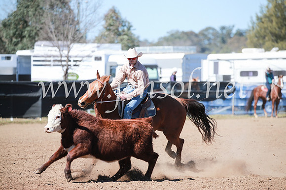 CCCampdraft2016_5681