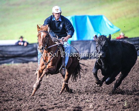 CabanandraCampdraft2014_1038