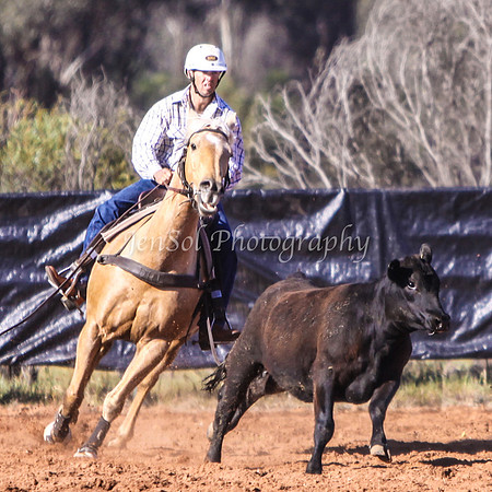 Wwyalong0120