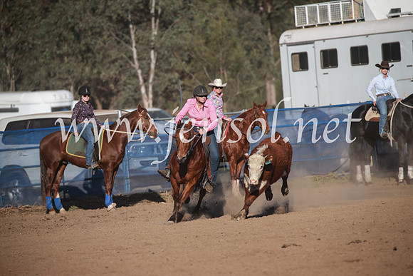 CCCampdraft2016_6603