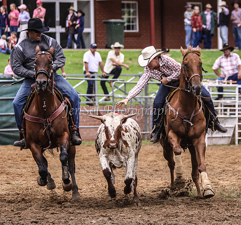 Cooma1_0286