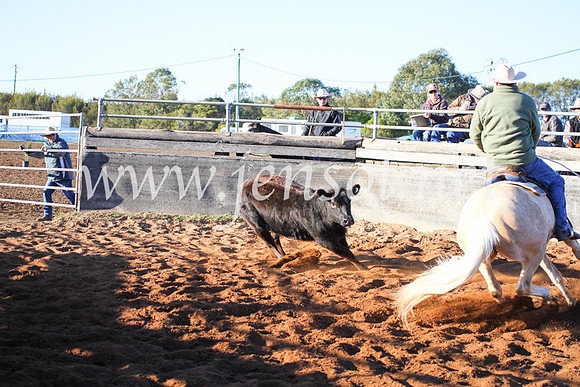 CCCampdraft20167D_0005