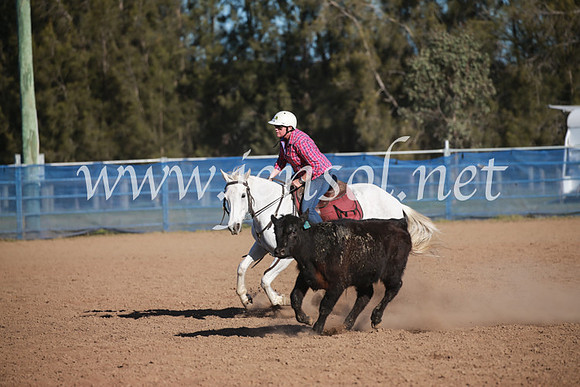 CCCampdraft2016_6487