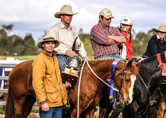TarcuttaSun 732