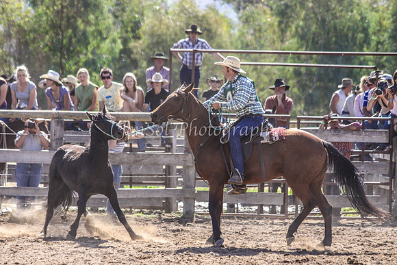 Corryong09 229