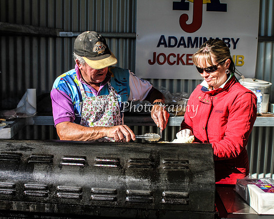 AdaminabyCampdraft2015_0682