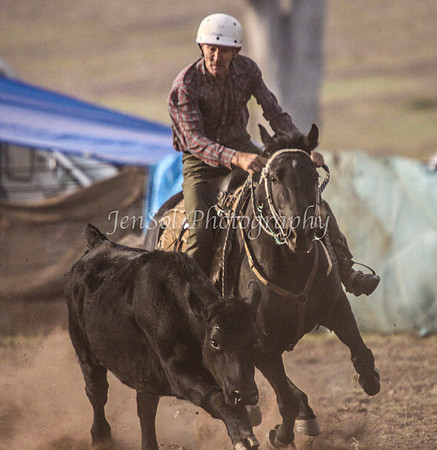 IMG_0047CabSat