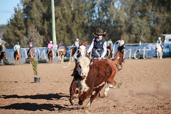 CCCampdraft2016_6680
