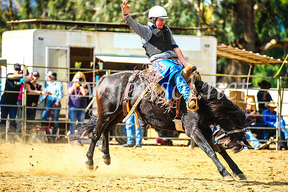 TumutRodeo2017_1679