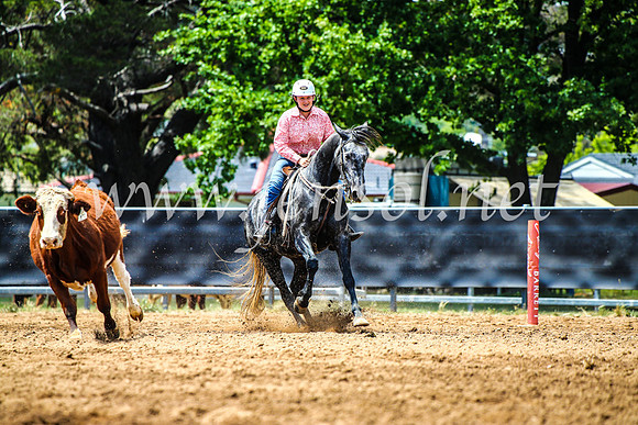OrangeCampdraft2017_4638