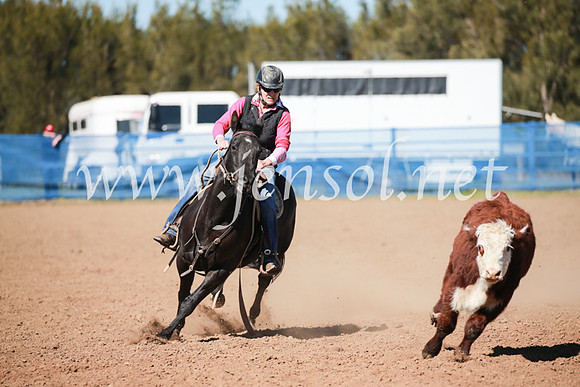 CCCampdraft2016_5586