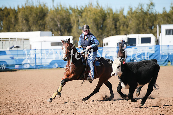 CCCampdraft2016_5355