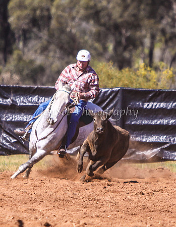 Wwyalong0287