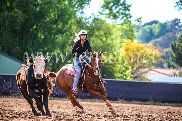 OrangeCampdraft2017_3826