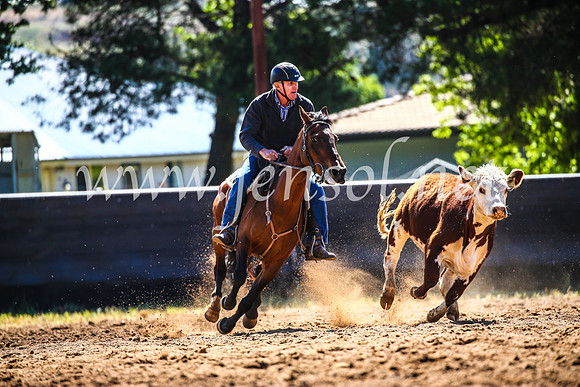 OrangeCampdraft2017_4395