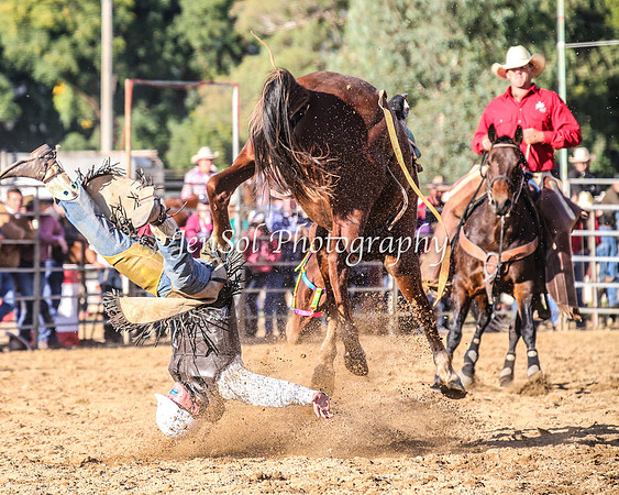 TumutRodeo2014_3088