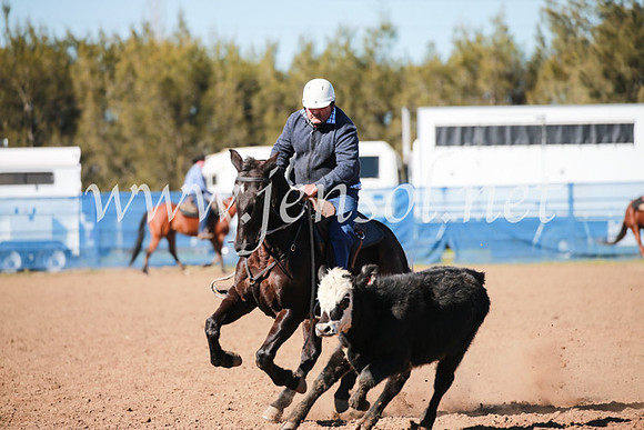 CCCampdraft2016_5347