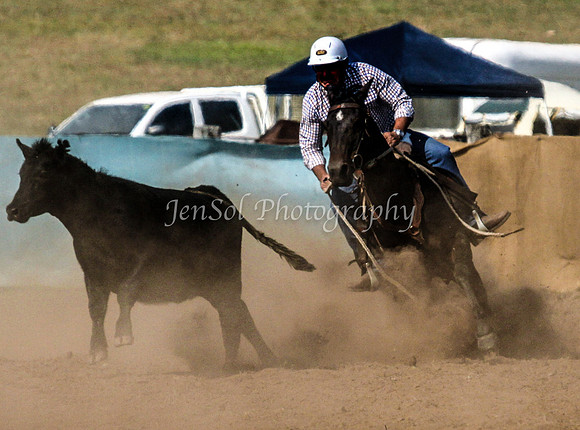 IMG_0206CabSat