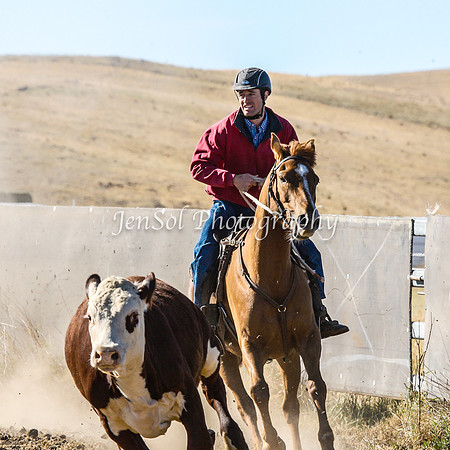 AdaminabyCampdraft2015_0023