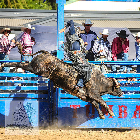 TumbarumbaRodeoNYD2025_1811