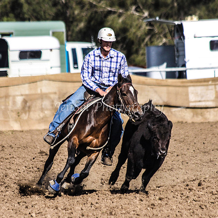 Open 137