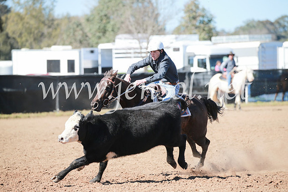 CCCampdraft2016_5601
