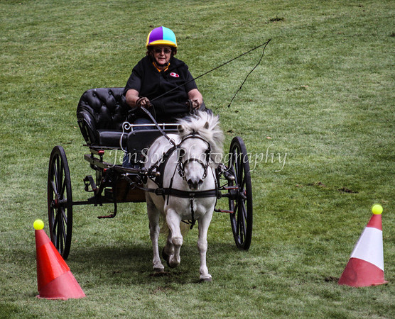 EquitanaSat_0004