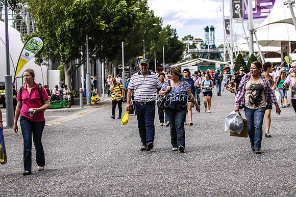 EquitanaThursSports_0024