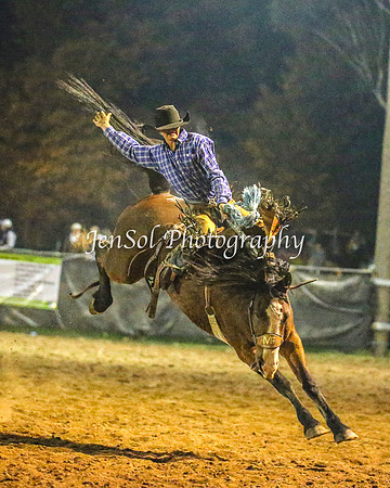 TumutRodeo2014_5046