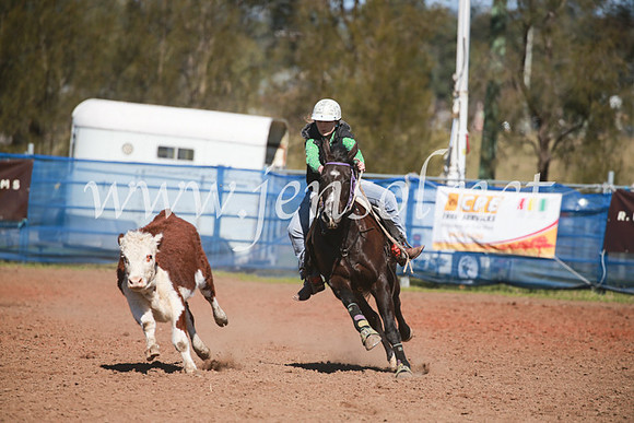 CCCampdraft2016_5732