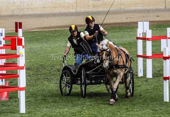 EquitanaSat_0086