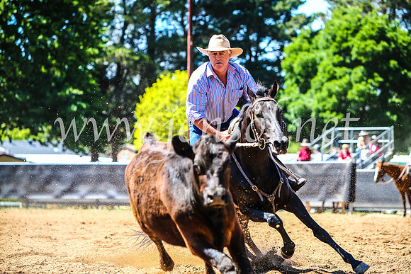 OrangeCampdraft2017_4482