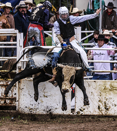 Cooma1_0876