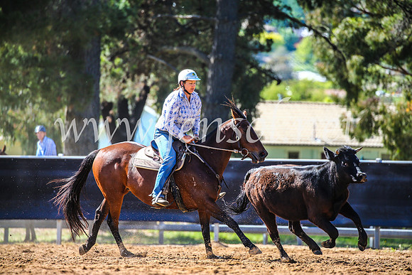 OrangeCampdraft2017_4279