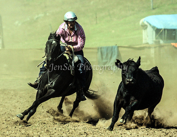IMG_0270CabSat