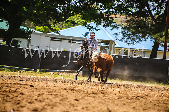 OrangeCampdraft2017_5075