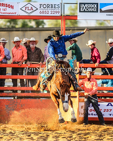 ForbesRodeo2014_2684