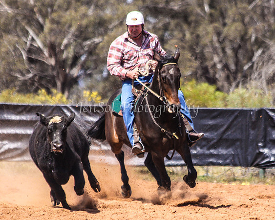 Wwyalong0504