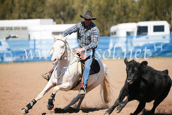 CCCampdraft2016_5902