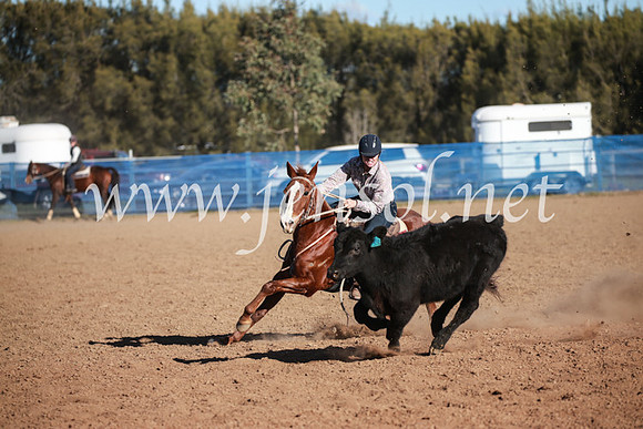 CCCampdraft2016_6480