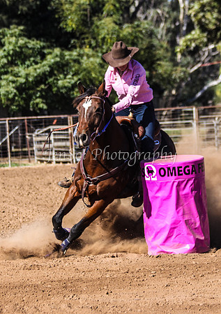 Dubbo2 229