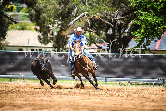 OrangeCampdraft2017_5528