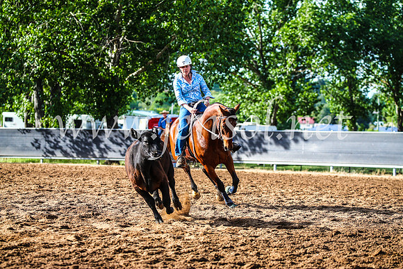OrangeCampdraft2017_3797