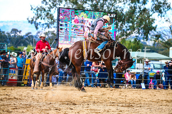 TumutRodeo2017_1572