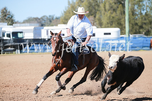 CCCampdraft2016_5701