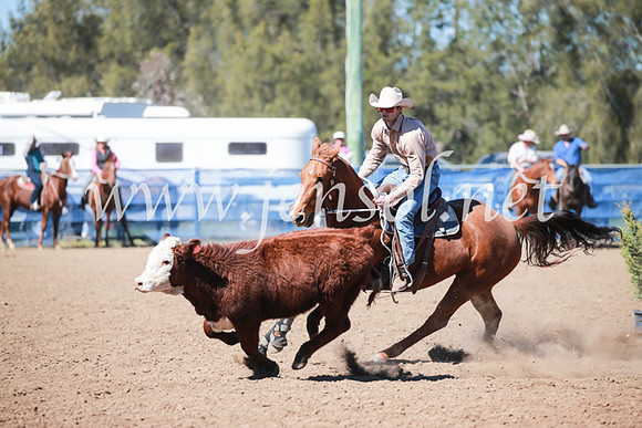 CCCampdraft2016_5675