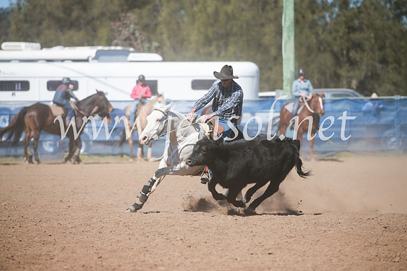 CCCampdraft2016_5917
