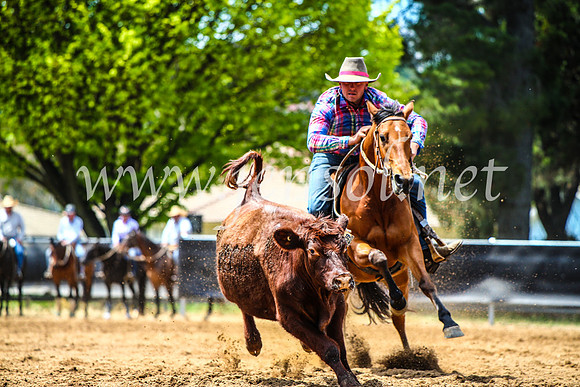 OrangeCampdraft2017_4794
