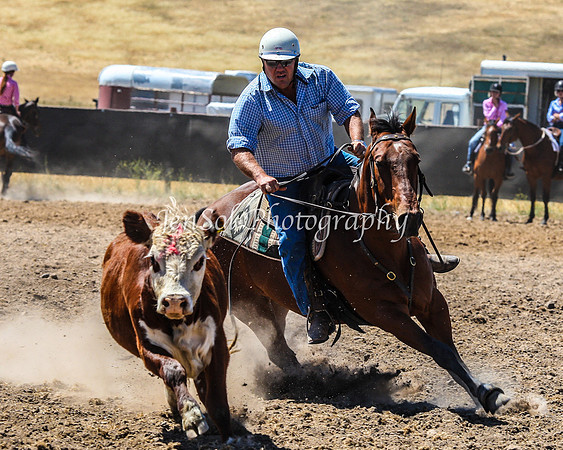 AdaminabyCampdraft2015_0275
