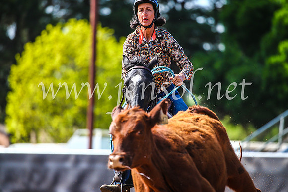 OrangeCampdraft2017_4171